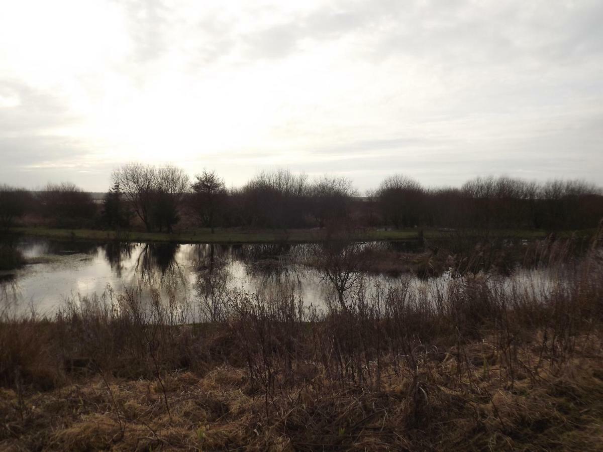 Вилла Marsh Water Ponds Fishery Kidwelly Экстерьер фото