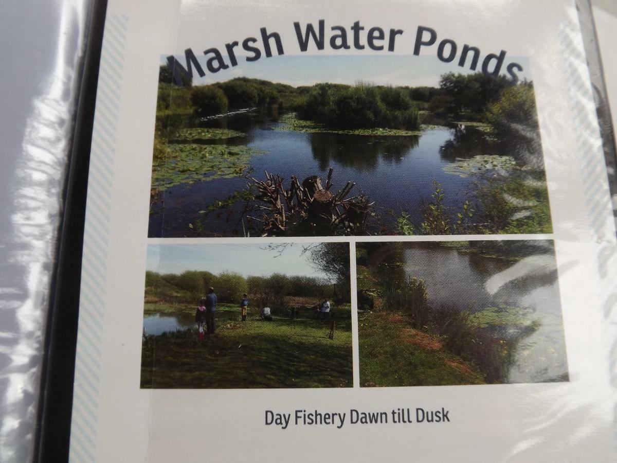 Вилла Marsh Water Ponds Fishery Kidwelly Экстерьер фото